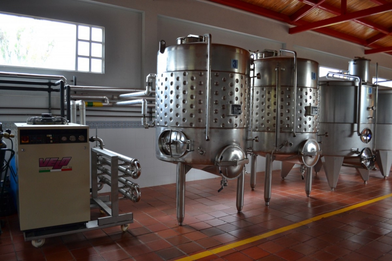 cave-REGUSSE-min_wine_production_cantine_winery_drink_alcohol_vine_beverage-902036